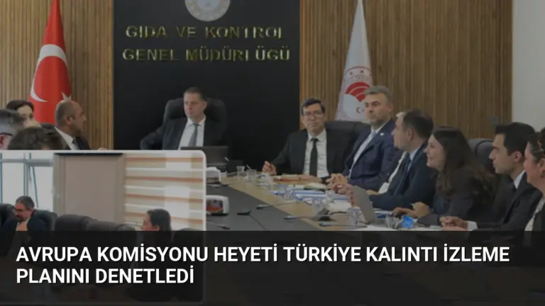 Avrupa Komisyonu Heyeti Türkiye Kalıntı İzleme Planını Denetledi