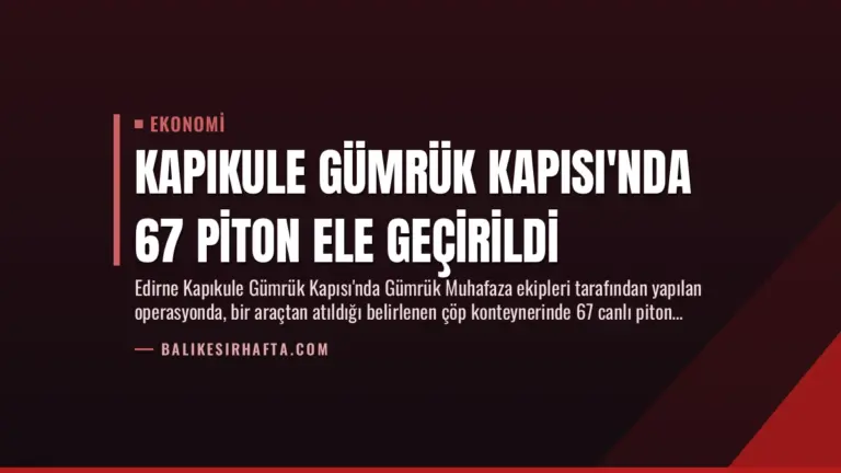 Kapıkule Gümrük Kapısı’nda 67 Piton Ele Geçirildi